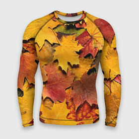 Мужской рашгард 3D с принтом Осень на дворе в Курске,  |  | Тематика изображения на принте: бордовый | жёлтый | красный | листва | листья