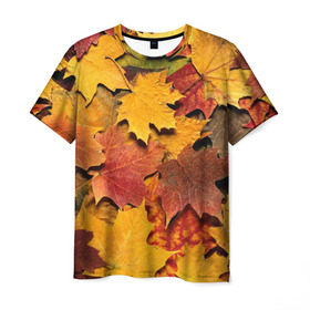 Мужская футболка 3D с принтом Осень на дворе в Курске, 100% полиэфир | прямой крой, круглый вырез горловины, длина до линии бедер | бордовый | жёлтый | красный | листва | листья