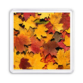 Магнит 55*55 с принтом Осень на дворе в Курске, Пластик | Размер: 65*65 мм; Размер печати: 55*55 мм | бордовый | жёлтый | красный | листва | листья