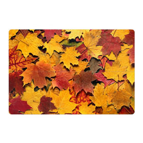 Магнитный плакат 3Х2 с принтом Осень на дворе в Курске, Полимерный материал с магнитным слоем | 6 деталей размером 9*9 см | бордовый | жёлтый | красный | листва | листья