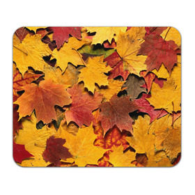 Коврик прямоугольный с принтом Осень на дворе в Курске, натуральный каучук | размер 230 х 185 мм; запечатка лицевой стороны | бордовый | жёлтый | красный | листва | листья