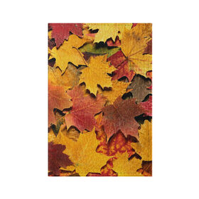 Обложка для паспорта матовая кожа с принтом Осень на дворе в Курске, натуральная матовая кожа | размер 19,3 х 13,7 см; прозрачные пластиковые крепления | Тематика изображения на принте: бордовый | жёлтый | красный | листва | листья