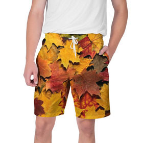 Мужские шорты 3D с принтом Осень на дворе в Курске,  полиэстер 100% | прямой крой, два кармана без застежек по бокам. Мягкая трикотажная резинка на поясе, внутри которой широкие завязки. Длина чуть выше колен | Тематика изображения на принте: бордовый | жёлтый | красный | листва | листья