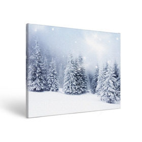 Холст прямоугольный с принтом Зимняя пора в Курске, 100% ПВХ |  | Тематика изображения на принте: вьюга | горы | зима | лес | метель | мороз | пейзаж | пурга | снег | снегопад | сосулька | стужа | сугроб | холод