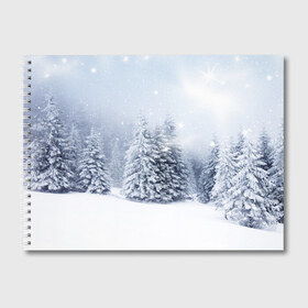 Альбом для рисования с принтом Зимняя пора в Курске, 100% бумага
 | матовая бумага, плотность 200 мг. | вьюга | горы | зима | лес | метель | мороз | пейзаж | пурга | снег | снегопад | сосулька | стужа | сугроб | холод