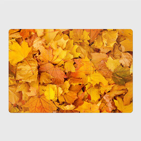 Магнитный плакат 3Х2 с принтом Золотая листва в Курске, Полимерный материал с магнитным слоем | 6 деталей размером 9*9 см | жёлтый осень | золото | листья