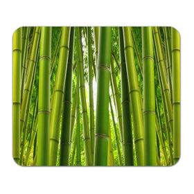 Коврик прямоугольный с принтом Бамбук в Курске, натуральный каучук | размер 230 х 185 мм; запечатка лицевой стороны | бамбук | зеленая | растения