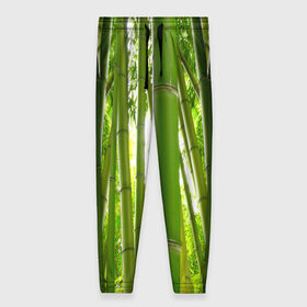Женские брюки 3D с принтом Бамбук в Курске, полиэстер 100% | прямой крой, два кармана без застежек по бокам, с мягкой трикотажной резинкой на поясе и по низу штанин. В поясе для дополнительного комфорта — широкие завязки | бамбук | зеленая | растения