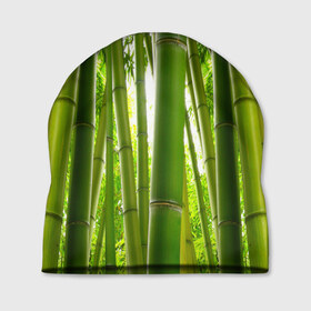 Шапка 3D с принтом Бамбук в Курске, 100% полиэстер | универсальный размер, печать по всей поверхности изделия | бамбук | зеленая | растения