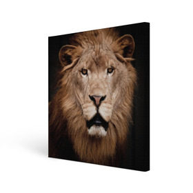 Холст квадратный с принтом Царь зверей в Курске, 100% ПВХ |  | власть | дикая кошка | животное | король джунглей | лев | львица | мощь | мудрость | охотник | сила | хитрость | хищник | царь зверей