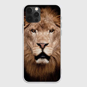 Чехол для iPhone 12 Pro Max с принтом Царь зверей в Курске, Силикон |  | Тематика изображения на принте: власть | дикая кошка | животное | король джунглей | лев | львица | мощь | мудрость | охотник | сила | хитрость | хищник | царь зверей