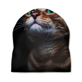 Шапка 3D с принтом Милый котик в Курске, 100% полиэстер | универсальный размер, печать по всей поверхности изделия | Тематика изображения на принте: кошка | темный | фото