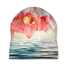Шапка 3D с принтом Цветы над водой в Курске, 100% полиэстер | универсальный размер, печать по всей поверхности изделия | букет | вода | душистый аромат | озеро | приятный запах | пруд | растение | цветок | цветы