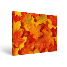 Холст прямоугольный с принтом Кленовые листья в Курске, 100% ПВХ |  | дары осени | жёлтый | золотой | клён | краски | красный | красота | листва | листья | наряд | оранжевый | осень | покров | природа