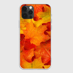 Чехол для iPhone 12 Pro с принтом Кленовые листья в Курске, силикон | область печати: задняя сторона чехла, без боковых панелей | Тематика изображения на принте: дары осени | жёлтый | золотой | клён | краски | красный | красота | листва | листья | наряд | оранжевый | осень | покров | природа