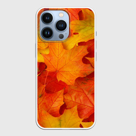 Чехол для iPhone 13 Pro с принтом Кленовые листья в Курске,  |  | Тематика изображения на принте: дары осени | жёлтый | золотой | клён | краски | красный | красота | листва | листья | наряд | оранжевый | осень | покров | природа