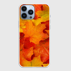 Чехол для iPhone 13 Pro Max с принтом Кленовые листья в Курске,  |  | Тематика изображения на принте: дары осени | жёлтый | золотой | клён | краски | красный | красота | листва | листья | наряд | оранжевый | осень | покров | природа
