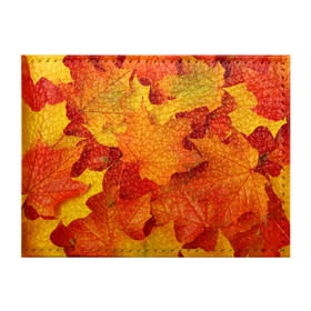 Обложка для студенческого билета с принтом Кленовые листья в Курске, натуральная кожа | Размер: 11*8 см; Печать на всей внешней стороне | дары осени | жёлтый | золотой | клён | краски | красный | красота | листва | листья | наряд | оранжевый | осень | покров | природа