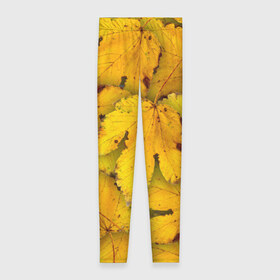 Леггинсы 3D с принтом Жёлтые листья в Курске, 80% полиэстер, 20% эластан | Эластичный пояс, зауженные к низу, низкая посадка | жёлтый | золотой | клён | красота | листва | листья | наряд | осень | осина | покров | природа