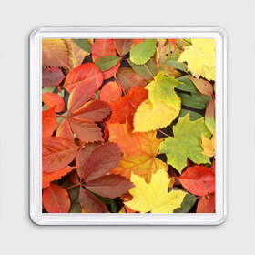Магнит 55*55 с принтом Осенние листья в Курске, Пластик | Размер: 65*65 мм; Размер печати: 55*55 мм | жёлтый | красный | листва | оранжевый | осень