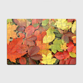 Пазл магнитный 126 элементов с принтом Осенние листья в Курске, полимерный материал с магнитным слоем | 126 деталей, размер изделия —  180*270 мм | Тематика изображения на принте: жёлтый | красный | листва | оранжевый | осень