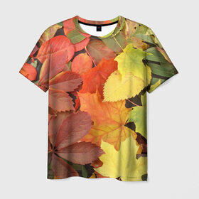 Мужская футболка 3D с принтом Осенние листья в Курске, 100% полиэфир | прямой крой, круглый вырез горловины, длина до линии бедер | Тематика изображения на принте: жёлтый | красный | листва | оранжевый | осень
