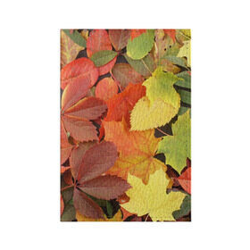 Обложка для паспорта матовая кожа с принтом Осенние листья в Курске, натуральная матовая кожа | размер 19,3 х 13,7 см; прозрачные пластиковые крепления | Тематика изображения на принте: жёлтый | красный | листва | оранжевый | осень