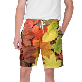 Мужские шорты 3D с принтом Осенние листья в Курске,  полиэстер 100% | прямой крой, два кармана без застежек по бокам. Мягкая трикотажная резинка на поясе, внутри которой широкие завязки. Длина чуть выше колен | Тематика изображения на принте: жёлтый | красный | листва | оранжевый | осень