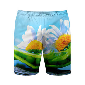 Мужские шорты 3D спортивные с принтом Ромашки в Курске,  |  | красота | поле | природа | ромашка | цветы