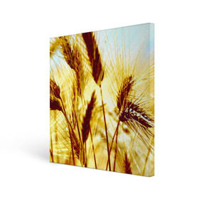 Холст квадратный с принтом Колос в Курске, 100% ПВХ |  | желтый | злаки | поле | пшеница
