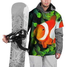 Накидка на куртку 3D с принтом Рыба клоун в Курске, 100% полиэстер |  | Тематика изображения на принте: клоун | коралл | немо | океан | цветная