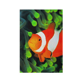 Обложка для паспорта матовая кожа с принтом Рыба клоун в Курске, натуральная матовая кожа | размер 19,3 х 13,7 см; прозрачные пластиковые крепления | клоун | коралл | немо | океан | цветная