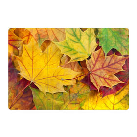 Магнитный плакат 3Х2 с принтом Осенние листья в Курске, Полимерный материал с магнитным слоем | 6 деталей размером 9*9 см | жёлтый | зелёный | клён | листва