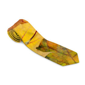 Галстук 3D с принтом Осенние листья в Курске, 100% полиэстер | Длина 148 см; Плотность 150-180 г/м2 | жёлтый | зелёный | клён | листва