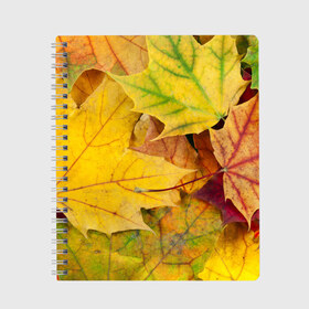 Тетрадь с принтом Осенние листья в Курске, 100% бумага | 48 листов, плотность листов — 60 г/м2, плотность картонной обложки — 250 г/м2. Листы скреплены сбоку удобной пружинной спиралью. Уголки страниц и обложки скругленные. Цвет линий — светло-серый
 | жёлтый | зелёный | клён | листва