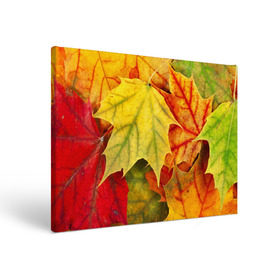 Холст прямоугольный с принтом Кленовые листья в Курске, 100% ПВХ |  | Тематика изображения на принте: жёлтый | зелёный | красный | листва | оранжевый | осень