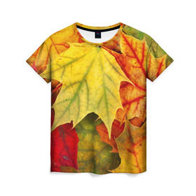 Женская футболка 3D с принтом Кленовые листья в Курске, 100% полиэфир ( синтетическое хлопкоподобное полотно) | прямой крой, круглый вырез горловины, длина до линии бедер | жёлтый | зелёный | красный | листва | оранжевый | осень