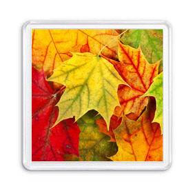 Магнит 55*55 с принтом Кленовые листья в Курске, Пластик | Размер: 65*65 мм; Размер печати: 55*55 мм | жёлтый | зелёный | красный | листва | оранжевый | осень
