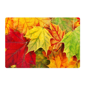 Магнитный плакат 3Х2 с принтом Кленовые листья в Курске, Полимерный материал с магнитным слоем | 6 деталей размером 9*9 см | Тематика изображения на принте: жёлтый | зелёный | красный | листва | оранжевый | осень