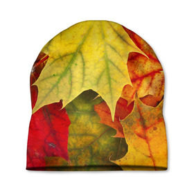 Шапка 3D с принтом Кленовые листья в Курске, 100% полиэстер | универсальный размер, печать по всей поверхности изделия | жёлтый | зелёный | красный | листва | оранжевый | осень