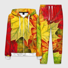 Мужской костюм 3D с принтом Кленовые листья в Курске, 100% полиэстер | Манжеты и пояс оформлены тканевой резинкой, двухслойный капюшон со шнурком для регулировки, карманы спереди | жёлтый | зелёный | красный | листва | оранжевый | осень