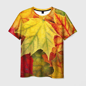 Мужская футболка 3D с принтом Кленовые листья в Курске, 100% полиэфир | прямой крой, круглый вырез горловины, длина до линии бедер | жёлтый | зелёный | красный | листва | оранжевый | осень