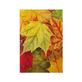 Обложка для паспорта матовая кожа с принтом Кленовые листья в Курске, натуральная матовая кожа | размер 19,3 х 13,7 см; прозрачные пластиковые крепления | жёлтый | зелёный | красный | листва | оранжевый | осень