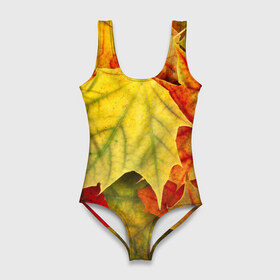 Купальник-боди 3D с принтом Кленовые листья в Курске, 82% полиэстер, 18% эластан | Круглая горловина, круглый вырез на спине | жёлтый | зелёный | красный | листва | оранжевый | осень