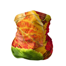 Бандана-труба 3D с принтом Осень в Курске, 100% полиэстер, ткань с особыми свойствами — Activecool | плотность 150‒180 г/м2; хорошо тянется, но сохраняет форму | берёза | дары осени | жёлтый | зелёный | золотой | краски | красный | красота | листва | листья | наряд | оранжевый | осень | осина | покров | природа