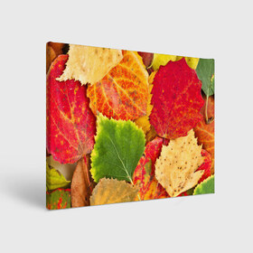 Холст прямоугольный с принтом Осень в Курске, 100% ПВХ |  | берёза | дары осени | жёлтый | зелёный | золотой | краски | красный | красота | листва | листья | наряд | оранжевый | осень | осина | покров | природа