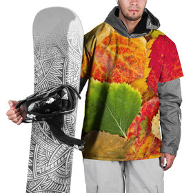 Накидка на куртку 3D с принтом Осень в Курске, 100% полиэстер |  | берёза | дары осени | жёлтый | зелёный | золотой | краски | красный | красота | листва | листья | наряд | оранжевый | осень | осина | покров | природа