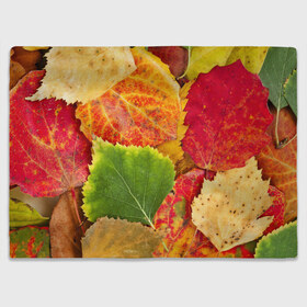 Плед 3D с принтом Осень в Курске, 100% полиэстер | закругленные углы, все края обработаны. Ткань не мнется и не растягивается | берёза | дары осени | жёлтый | зелёный | золотой | краски | красный | красота | листва | листья | наряд | оранжевый | осень | осина | покров | природа