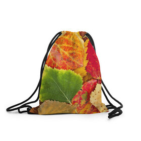 Рюкзак-мешок 3D с принтом Осень в Курске, 100% полиэстер | плотность ткани — 200 г/м2, размер — 35 х 45 см; лямки — толстые шнурки, застежка на шнуровке, без карманов и подкладки | Тематика изображения на принте: берёза | дары осени | жёлтый | зелёный | золотой | краски | красный | красота | листва | листья | наряд | оранжевый | осень | осина | покров | природа