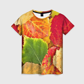 Женская футболка 3D с принтом Осень в Курске, 100% полиэфир ( синтетическое хлопкоподобное полотно) | прямой крой, круглый вырез горловины, длина до линии бедер | берёза | дары осени | жёлтый | зелёный | золотой | краски | красный | красота | листва | листья | наряд | оранжевый | осень | осина | покров | природа